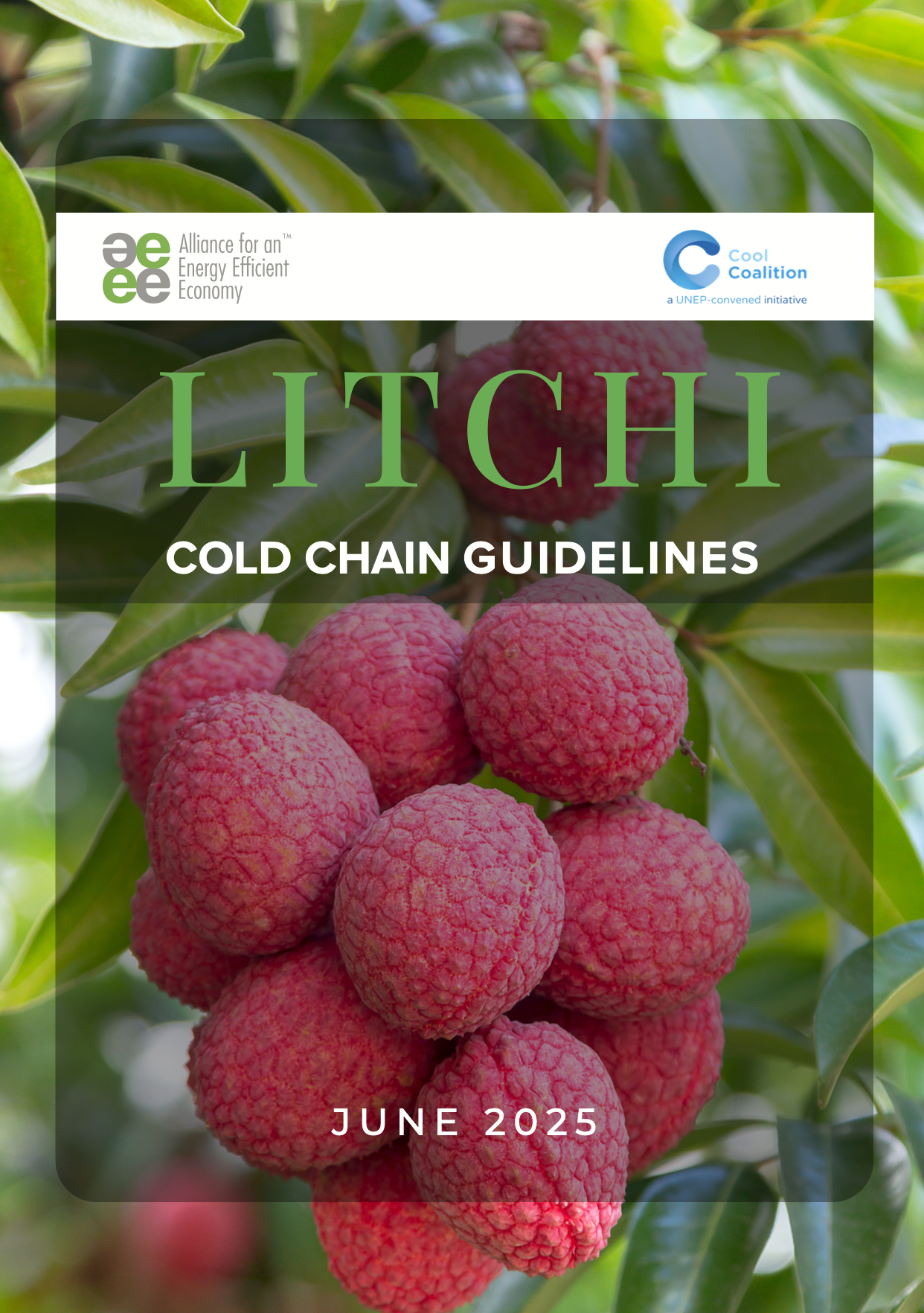 Litchi Cold Chain Guidelines