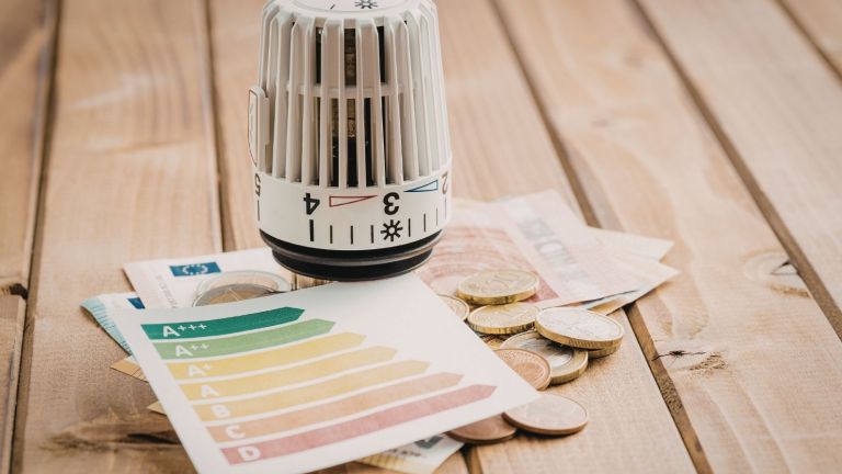 Taxonomies for Financing Efficient Consumer Appliances