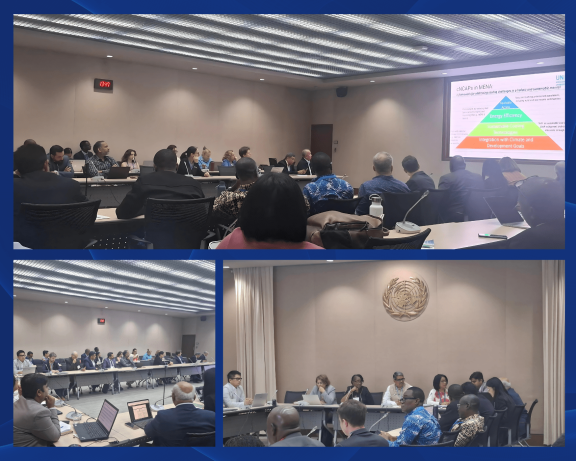 Regional Collaboration on NCAPs Spotlighted at OEWG-47
