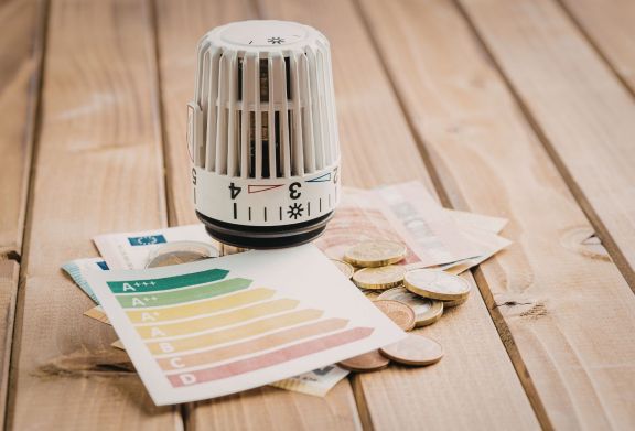 Taxonomies for Financing Efficient Consumer Appliances