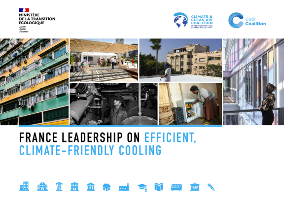 France cooling leadership report