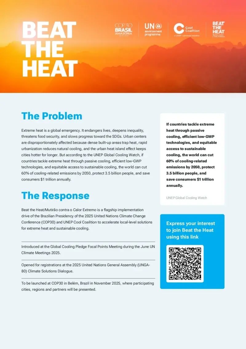 Flyer2
