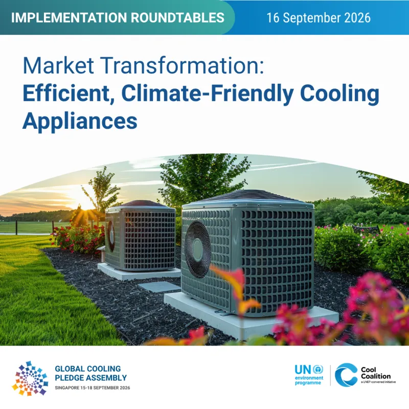 Implementation Roundtable 2