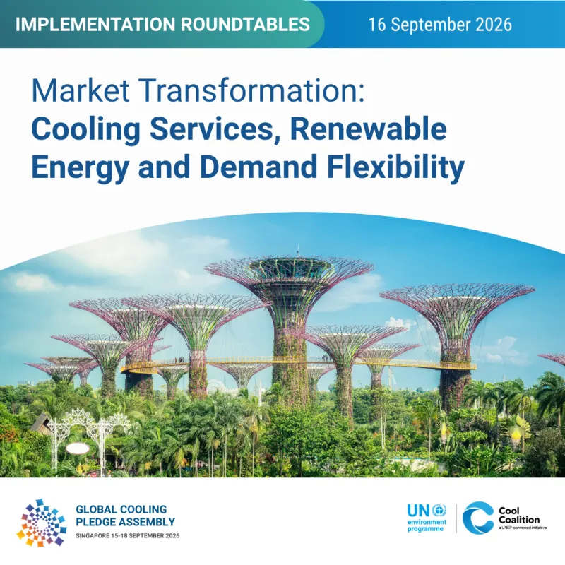 Implementation Roundtable 4