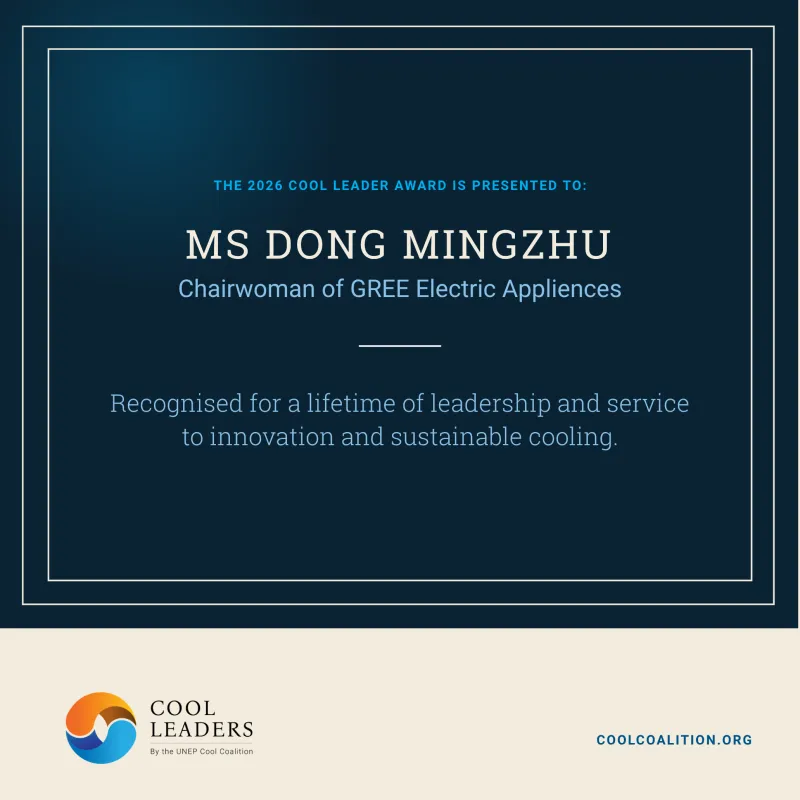 Ms Dong3