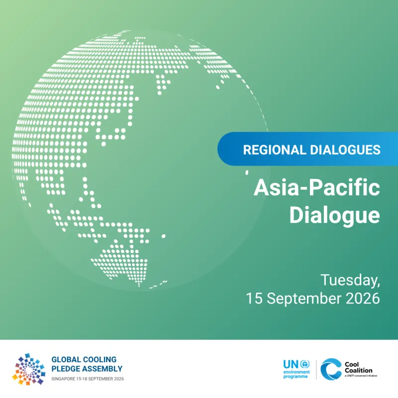 Regional Roundtable 3