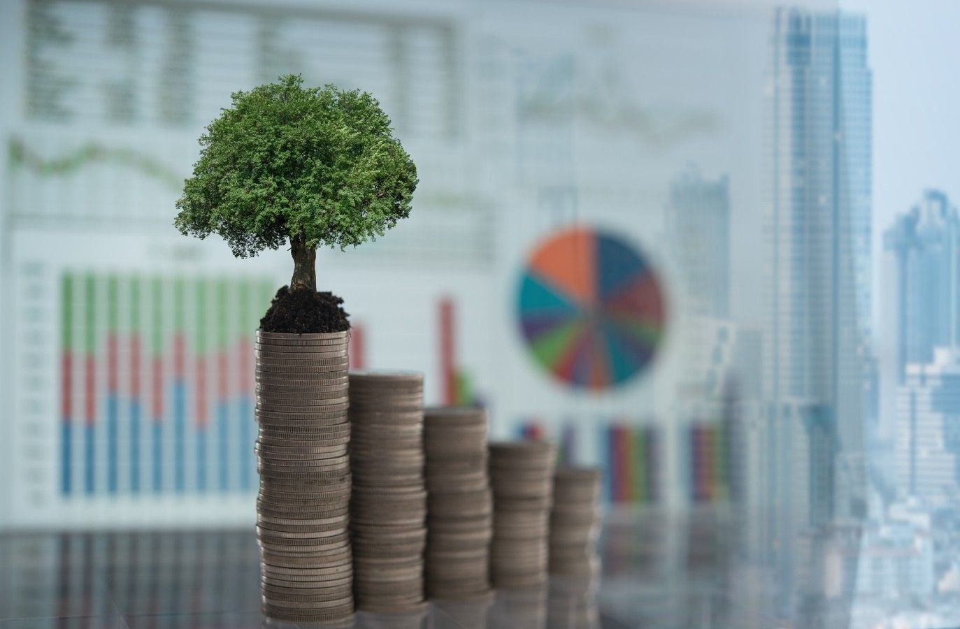 Cooler Finance