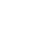 formigas-de-embauba