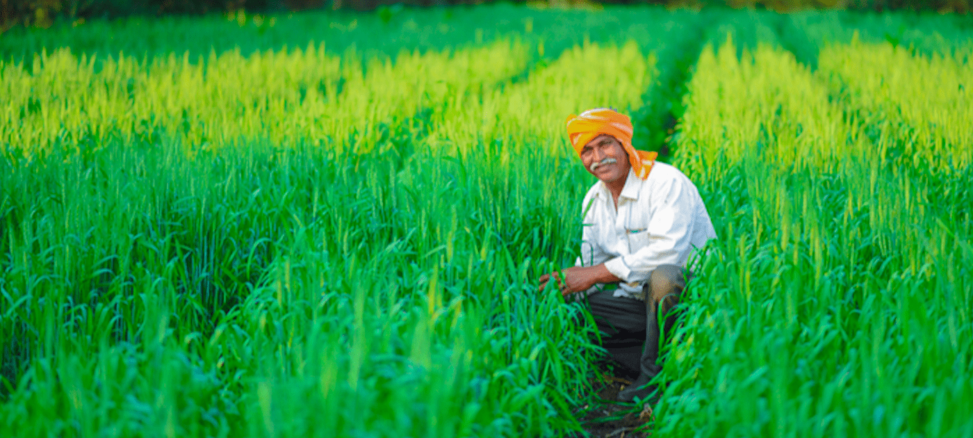 CSC Webinar: The Cold-Chain Imperative: Food saved is as important as food produced