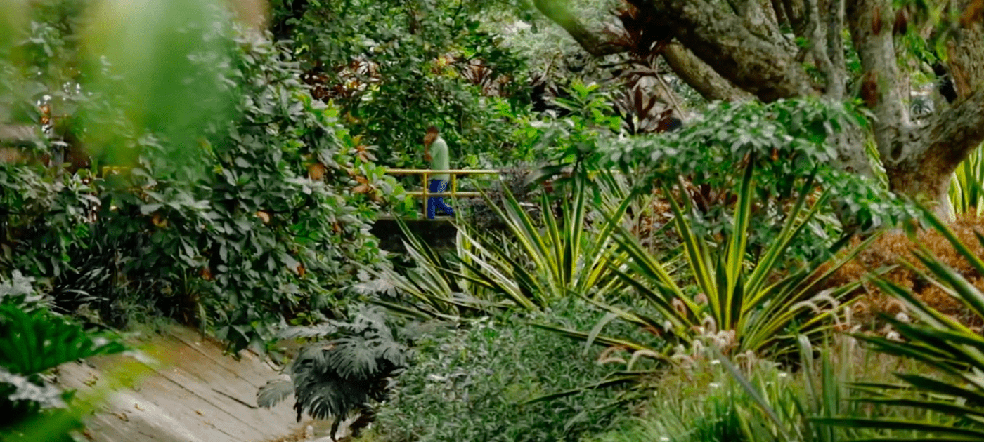 World Environment Day 2020: Let’s use Nature to Cool Down the People and the Planet
