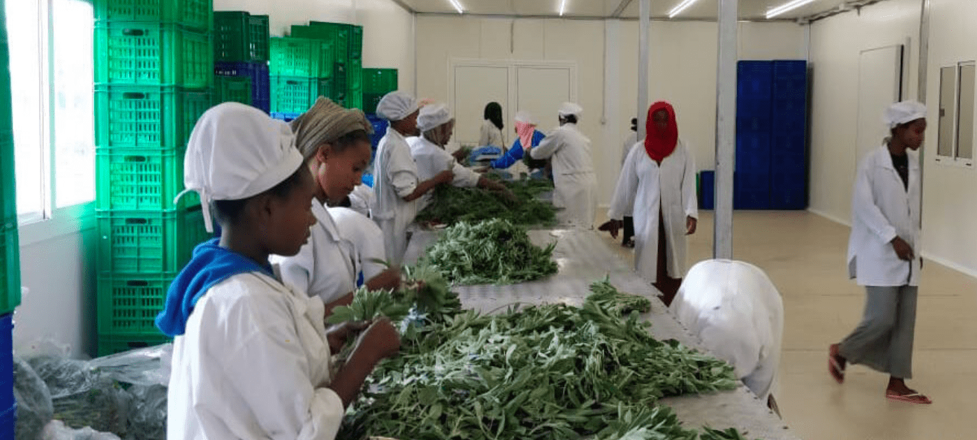 Transforming Kenya’s Cold Chain