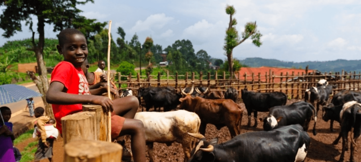 Centre of Excellence in Rwanda aims to support African farmers and rural communities