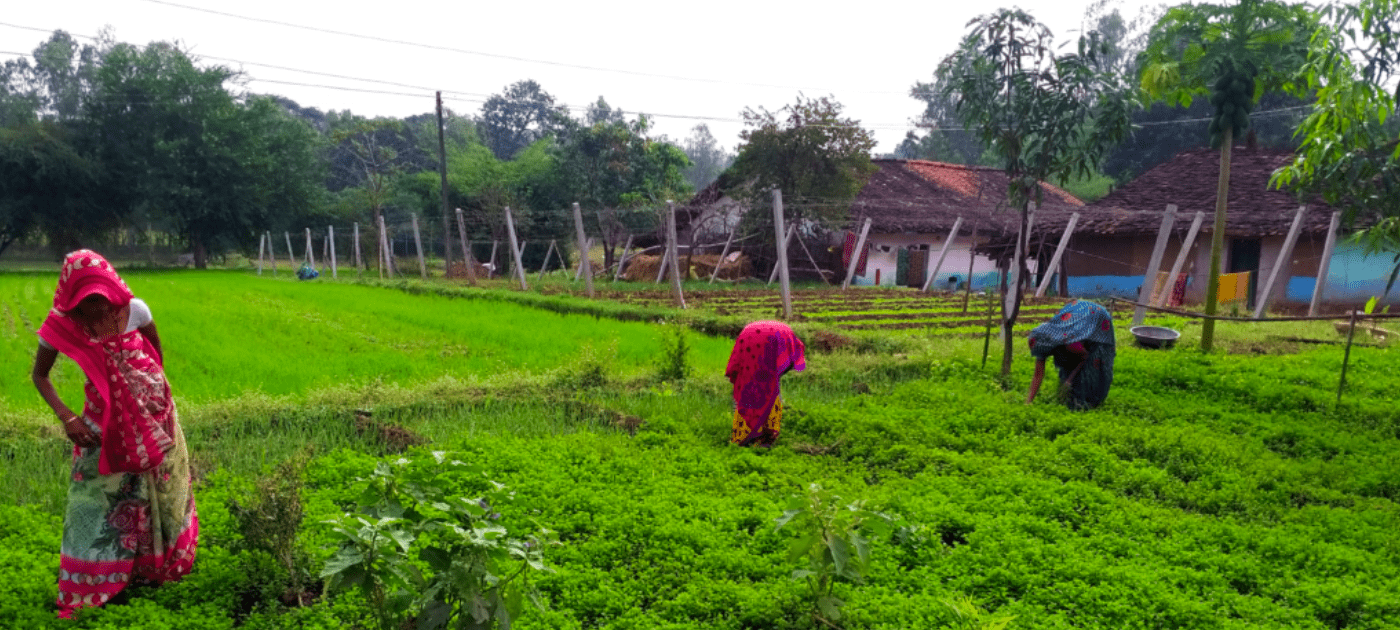 CAAS FACILITATING RESILIENT AGRICULTURE AND CROPS IN INDIA