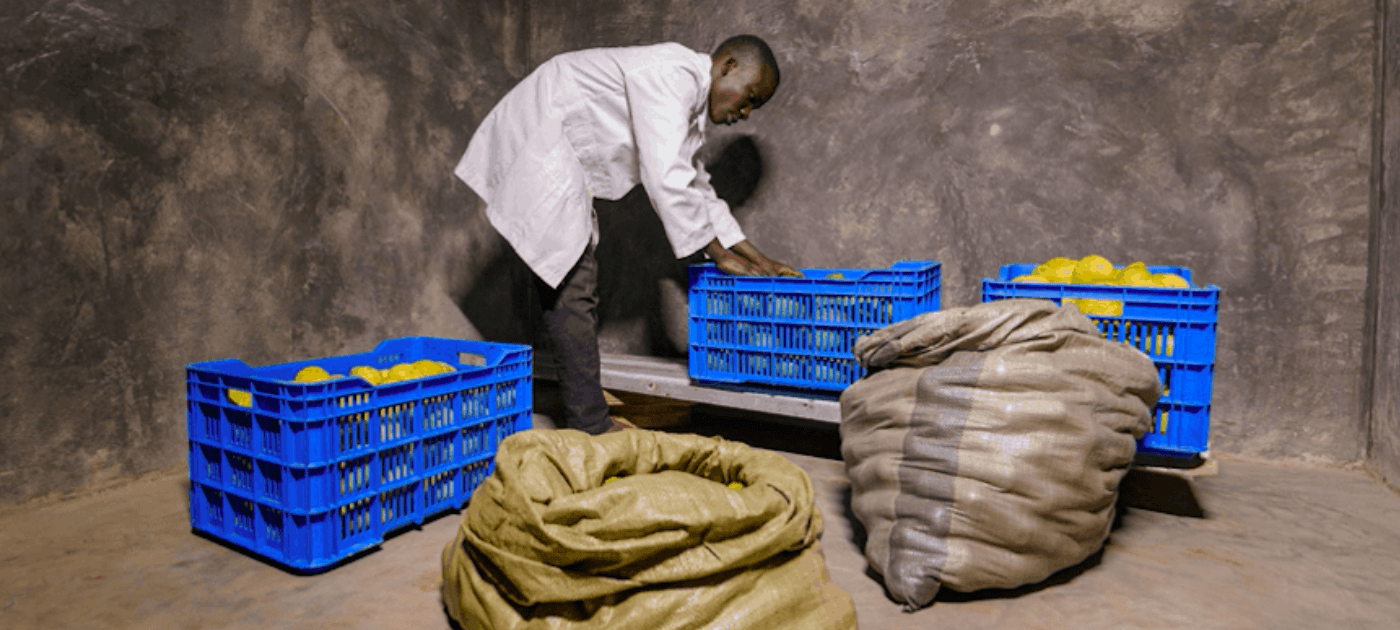 Taking Cold Chains Off-Grid: How Solar Powered Cold Rooms Could Dramatically Reduce Food Waste in Sub-Saharan Africa