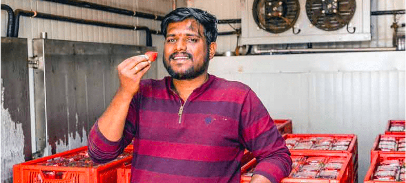 Solar fridge provides lifeline for Indian farmers
