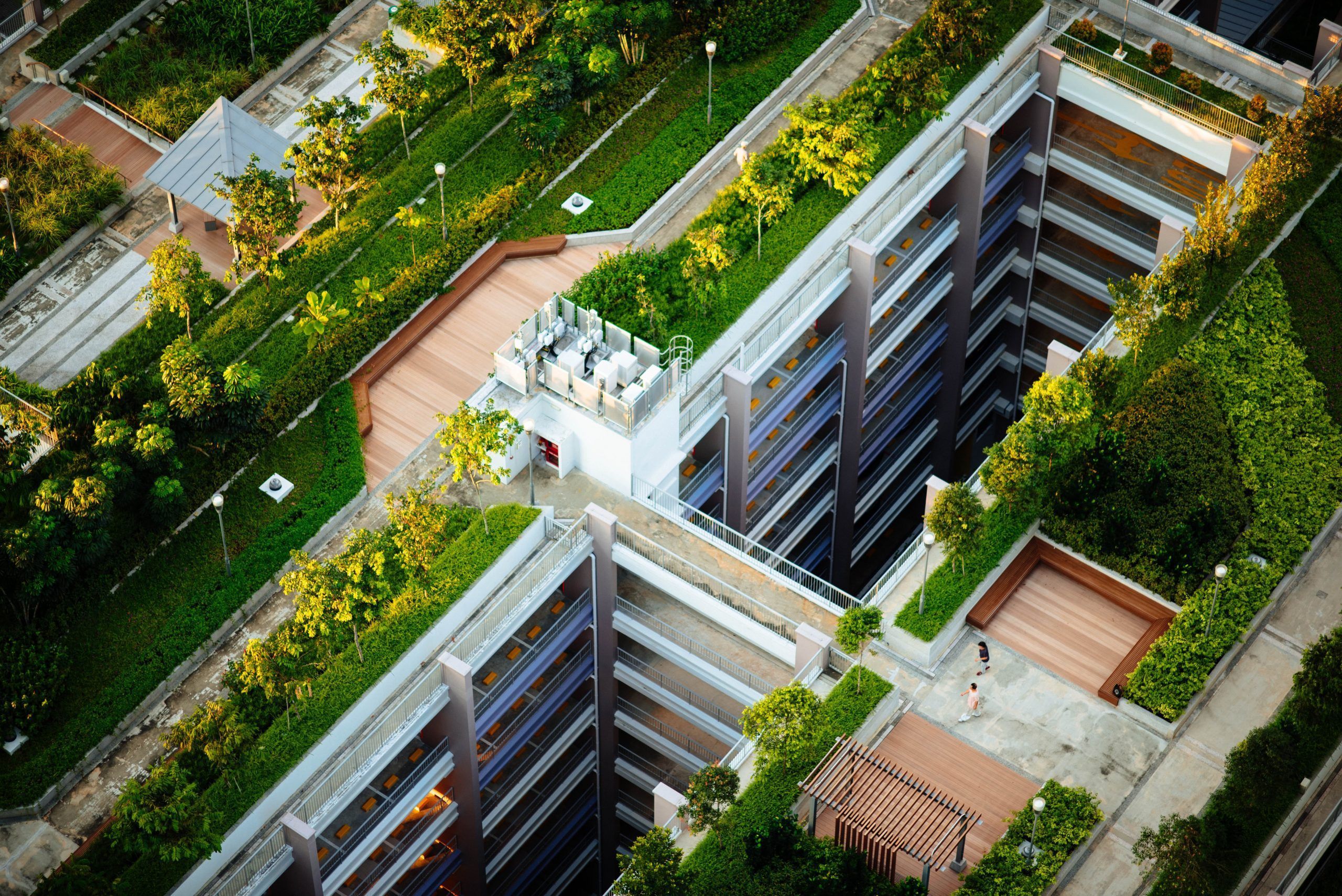 Cooling of new buildings and tree canopies are essential during heat waves
