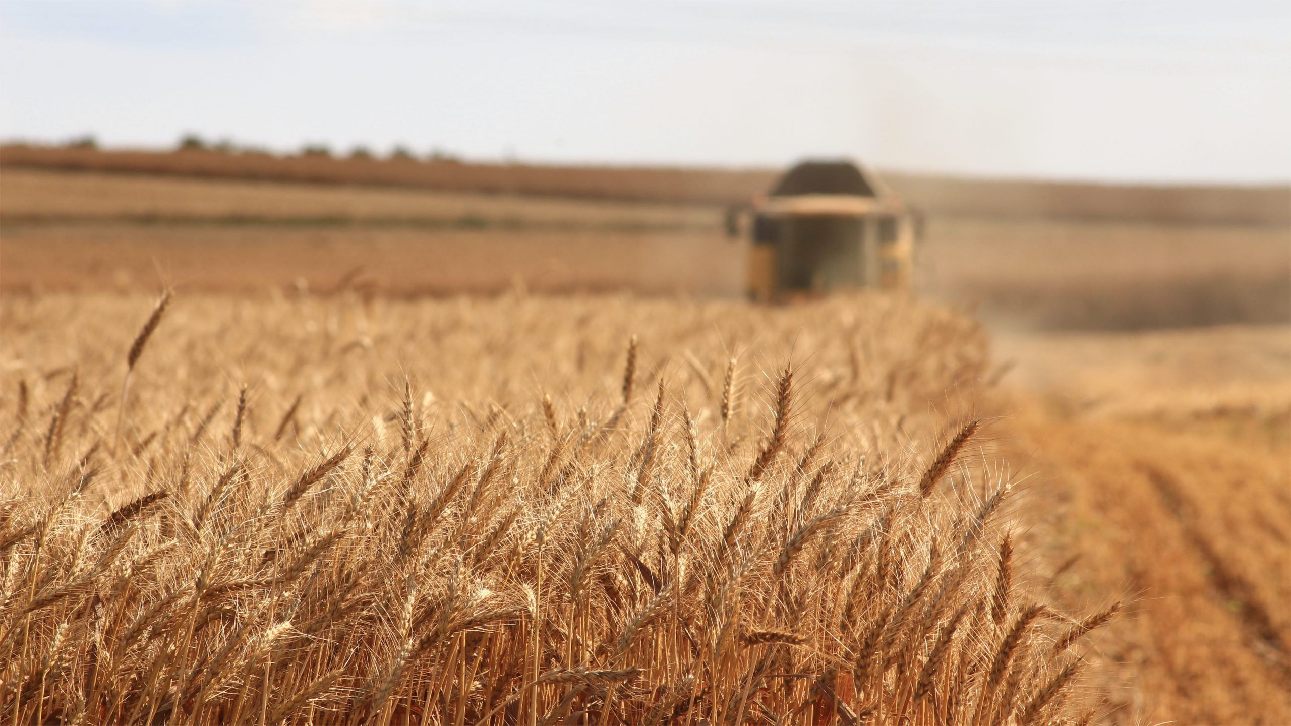 In South Asia, record heat threatens future of farming
