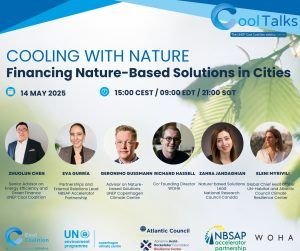 Cooling with Nature: Financing Nature-Based Solutions in Cities