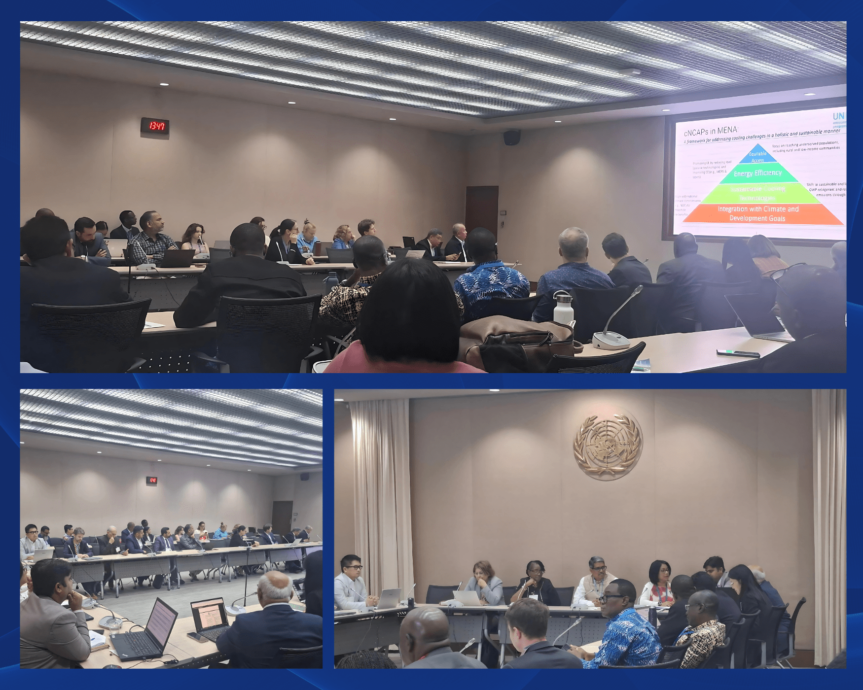 Regional Collaboration on NCAPs Spotlighted at OEWG-47