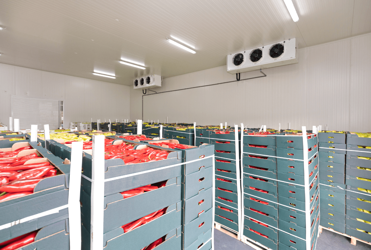 Food is Never Waste: Advancing Food Systems Transformation through Scaling Finance and Partnerships for Food Loss and Waste Reduction