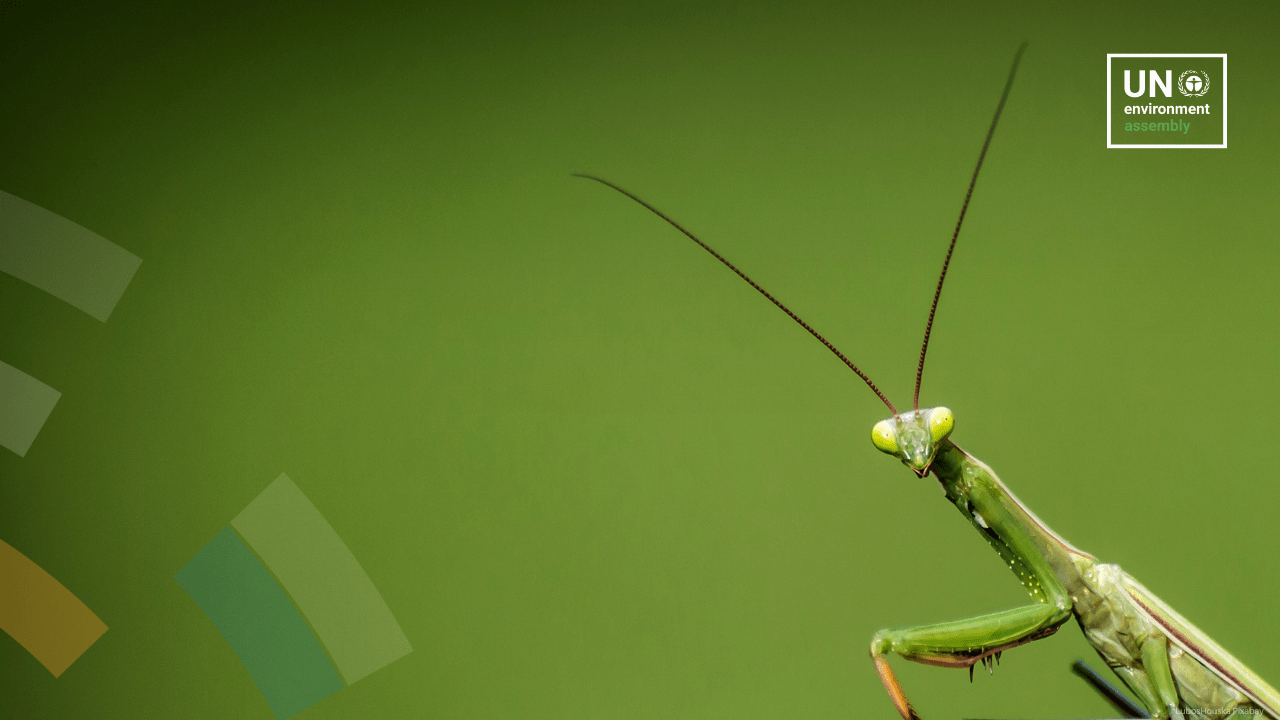 Beat the Heat: Local and Regional Action for a Resilient Planet